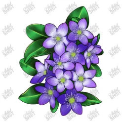 Mayflower Plant Illustrations Toddler T-shirt 7 Mayflower Plant Illustrations Toddler T-shirt -Kids Tshirts Zone d.2509950385.24945528.s3.1 ffffff YXJ0aXN0c2hvdA 800x800 1