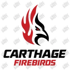 Carthage College Youth Tee -Kids Tshirts Zone d.2526320977.25086812.s3.1 ffffff YXJ0aXN0c2hvdA 800x800 1