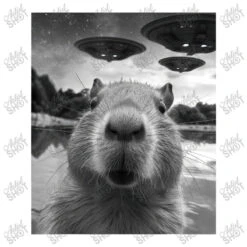 Capybara Selfie With Ufos Weird Toddler T-shirt -Kids Tshirts Zone d.2526476874.25091722.s3.1 ffffff YXJ0aXN0c2hvdA 800x800 1