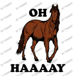 Oh Haaaay Youth Sweatshirt -Kids Tshirts Zone d.2526848053.25075467.s3.1 ffffff VG9tQXJ0 800x800 1