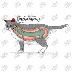 That Explains The Cat Youth Tee -Kids Tshirts Zone d.2526897916.25099500.s3.1 ffffff YXJ0aXN0c2hvdA 800x800 1