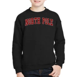 North Pole Alaska Youth Sweatshirt